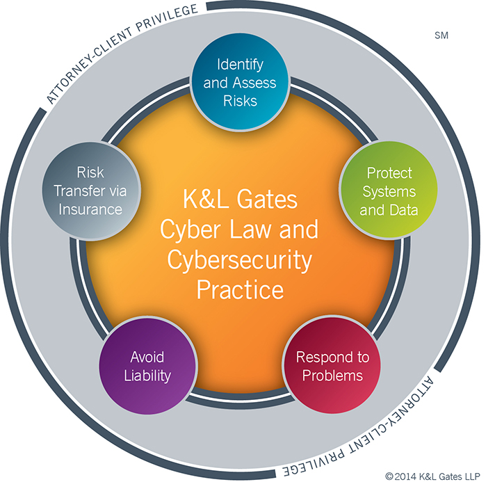 limitations of cyber law